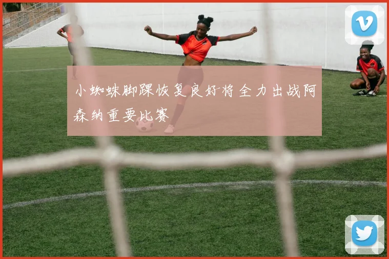 小蜘蛛脚踝恢复良好将全力出战阿森纳重要比赛