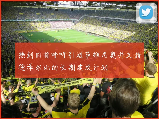 热刺旧将呼吁引进萨维尼奥并支持德泽尔比的长期建设计划